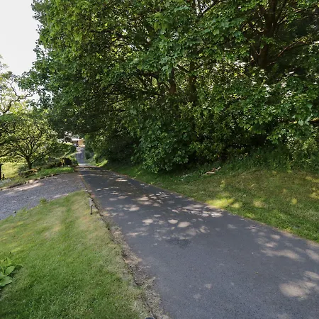 Swallow's Nest كيسويك